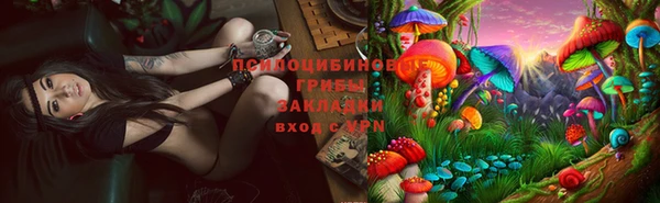 ГАЛЛЮЦИНОГЕННЫЕ ГРИБЫ Алзамай