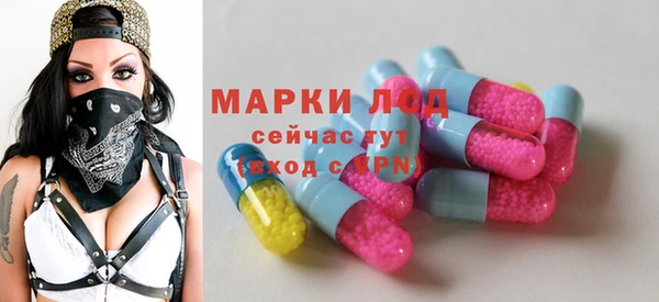 ГАЛЛЮЦИНОГЕННЫЕ ГРИБЫ Алзамай