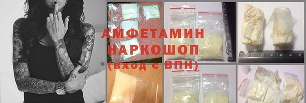 крисы Алексин