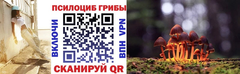 сайты даркнета какой сайт  Жирновск  Псилоцибиновые грибы мухоморы  дарнет шоп 